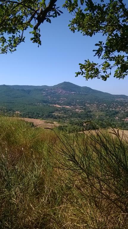 B&B Il Pantanello Rocca Di Papa Esterno foto