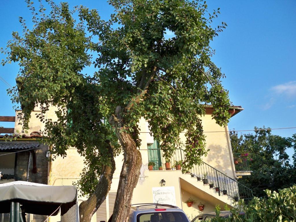 B&B Il Pantanello Rocca Di Papa Esterno foto
